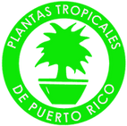 Logo Plantas Tropicales de Puerto Rico
