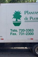 Plantas Tropicales de Puerto Rico